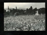 001 Radków widok ogólny na tle Gór Stołowych