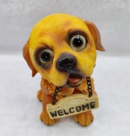 Szczeniaczek o wielkich oczkach zaprasza do domu:)