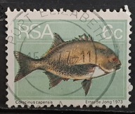 Ryby (kas) - luzak - do uzupełnień 13/5