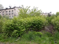 Działka, Ruda Śląska, 780 m²