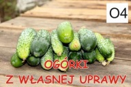 BANER PLANDEKA SPRZEDAŻ OGÓRKÓW OGÓRKI 100x50 O4