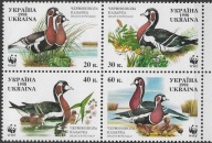 PTAKI Ukraina 1998 Mi 282-85 ** Kaczka kazarka. Jak na skanie. Stan BDB.