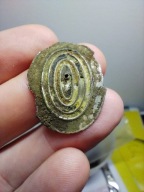 Bączek carski kokarda XIX/XX w. Baczek oficerski Carska Rosja ORYGINAŁ