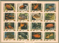 UMM AL QIWAIN. .RYBY TROPIKALNE. Mi ark.B** 1971r.