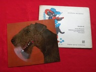 Gdańska Kapela Podwórkowa POCZTÓWKA DŹWIĘKOWA tylko w gdyni / bierzcie nas