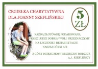 ELEKTRONICZNA CEGIEŁKA SZEFLIŃSKA JOANNA 5ZŁ