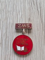 ZMS WZOROWY UCZEŃ I AKTYWISTA