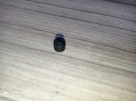 STIHL 034 036 MS 340 360 DYSTANS OBUDOWY SILNIKA CYLINDRA N