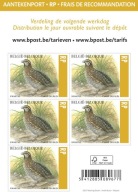 Belgia 2023 Znaczki A ** ptaki przepiórka