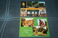 ŻELAZOWA WOLA DWOREK W KTÓRYM URODZIŁ SIĘ FRYDERYK CHOPIN