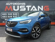 Opel Grandland X Benzyna*Navi*Kamery