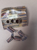 Zestaw naprawczy rozrusznika ŻUK NYSA do Elmot