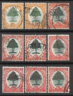 South Africa D807 flora drzewo pomarańczowe 1926-1933r.