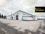 Magazyny i hale, Racibórz, Raciborski, 1200 m²