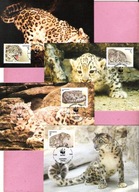 Kirgistan1994, MC FDC 4szt. WWF dzikie koty, irbis pantera śnieżna