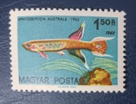 WĘGRY ZNACZEK NR 1827** Z BŁĘDEM I PODWÓJNY ROK 1962 RYBKI 1962 STAN BDB-