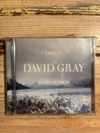 Life In Slow Motion David Gray CD