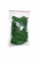 Mech chrobotek do formikarium 200ml. Dekoracja do Formikarium