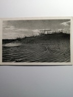 PUSTYNIA BŁĘDOWSKA 1950- WYDMY PIASZCZYSTE