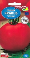 Sadzonka Pomidora odmiana Krakus