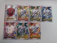 Karty panini autografy Polska Grosicki PZPN x 7