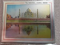 MAGNES NA LODÓWKĘ INDIE TAJ MAHAL