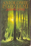 Aniołowie podziemi Joseph Citro horror