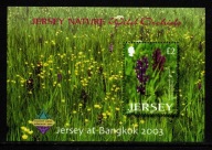 Jersey . Mini arkusz 1080 ( Jersey Nature - Dzikie orchidee ) czysty