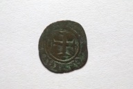 Włochy Neapol Robert Andegaweński Mądry 1309-1343 AD denar 23