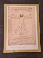 reprodukcja Leonardo da Vinci człowiek witruwiański rama magnetyczna