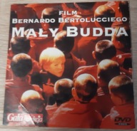 MAŁY BUDDA płyta DVD