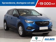 Opel Grandland 1.2 Turbo, Salon Polska