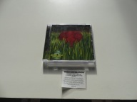 Rewolucja zielona - Green Revolution CD NM GAD