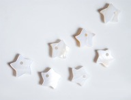 Naturalna Muszla macica perłowa GWIAZDKA gwiazdki 10szt