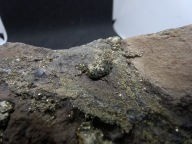 Piryt - Zrosty Kostek na Skałce | Gliwice