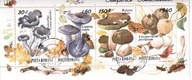 Rumunia 1994 kasowany cena 4,40 zł kat.2€ - grzyby