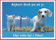 Kot kotek koty rasa harce kot w życiu człowieka pocztówka