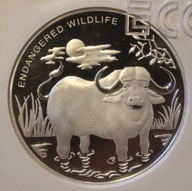 BYK, BAWOŁ, BAWÓŁ 10 FRANCS - FRANKÓW 2007 KONGO GCN PR69