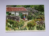 Hiszpania - Wyspy Kanaryjskie - pocztówka