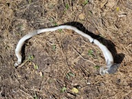 BMW F07 5 GT 11868015 WLEW PŁYNU SPRYSKIWACZY