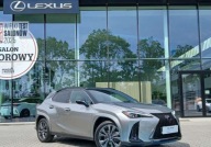 Lexus UX UX 300h F Sport Fuji AWD Bezwypadkowy Salon PL ASO