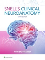Snells Clinical Neuroanatomy Dr. Ryan Splittgerber WAWA nowy