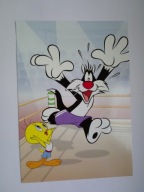 Kot Sylwester i kanarek Tweety - bajka - film animowany