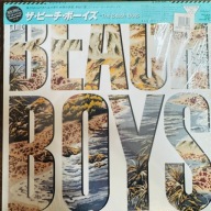 The Beach Boys The Beach Boys LP CRB26378 VG- The Beach Boys Winyl
