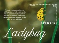 Grenada 2022 Znaczki Blok 1015 ** owady biedronki
