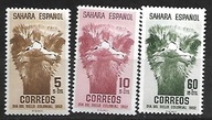 Sahara hiszp. xx U389 fauna struś MNH VF