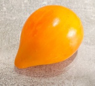 Pomidor Isolner Bicolor (391) nasiona kolekcjonerskie