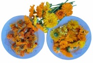 Nagietek lekarski kwiat 30g