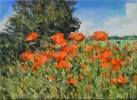 Maki w polach" obraz olejny na płótnie 30x40cm , oryginał Garncarek Al,,,