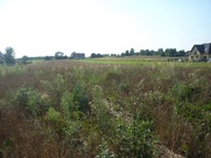 Działka, Kryspinów, Liszki, Krakowski, 1000 m²